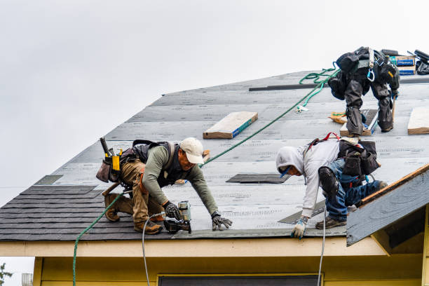 Professional Gutter Installation technician working in Stedman, NC